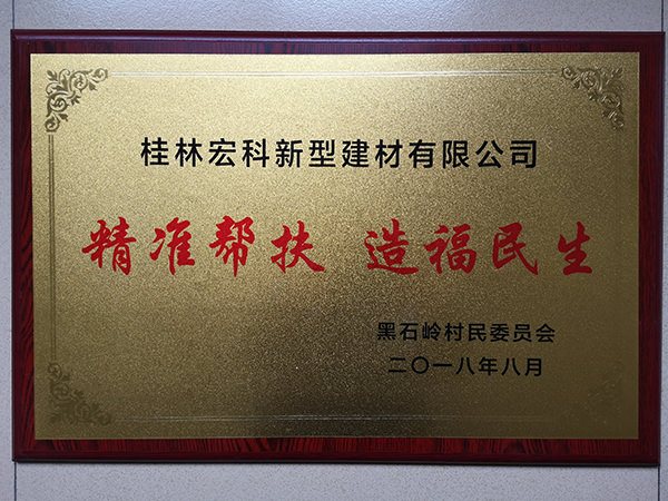 村委精准帮扶
