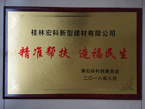 精准帮扶